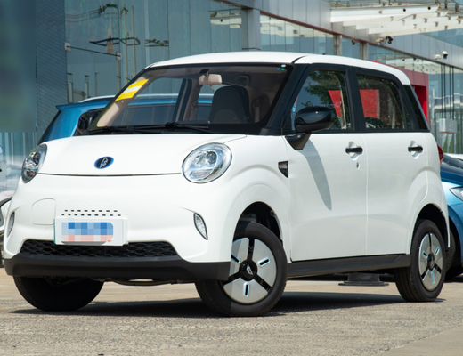 LINGBOX Mini Cars elétrico 4 seaters com a resistência de 205KM que conduz guardas florestais