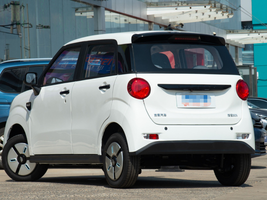 LINGBOX Mini Cars elétrico 4 seaters com a resistência de 205KM que conduz guardas florestais