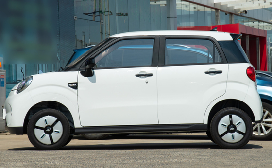 LINGBOX Mini Cars elétrico 4 seaters com a resistência de 205KM que conduz guardas florestais